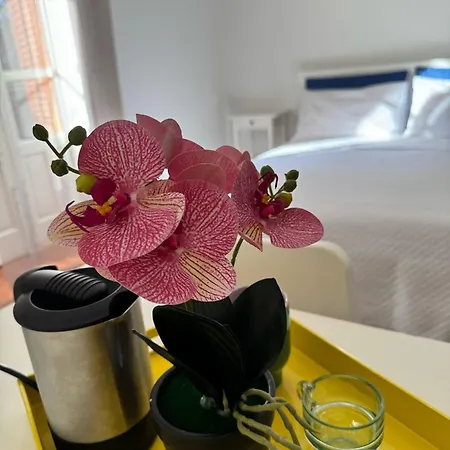 Dimora 51 * פלרמו